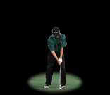 Animated golfer