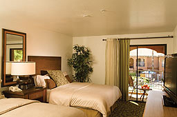 Zona Hotel & Suites Scottsdale Room