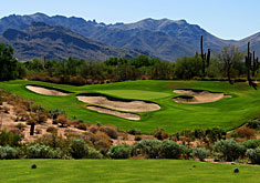 zona-grayhawk