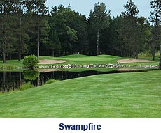 swampfire-slide