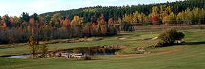 The Homestead at Wolf Ridge